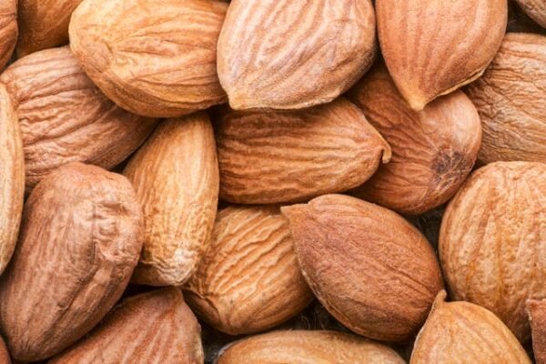 Almond Seeds