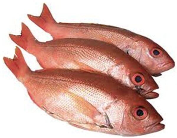 Red Fish